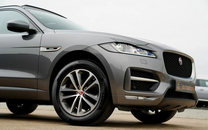 Jaguar F-Pace cena 104700 przebieg: 120157, rok produkcji 2019 z Otmuchów małe 781